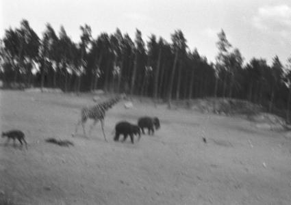 S3_196907-0021
