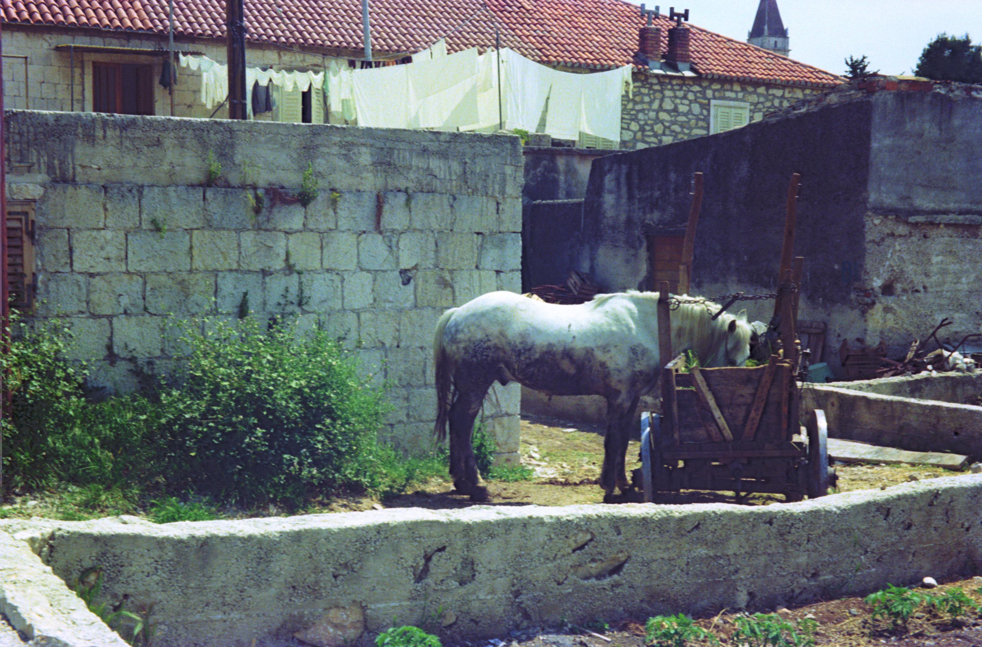 S3_197505-10