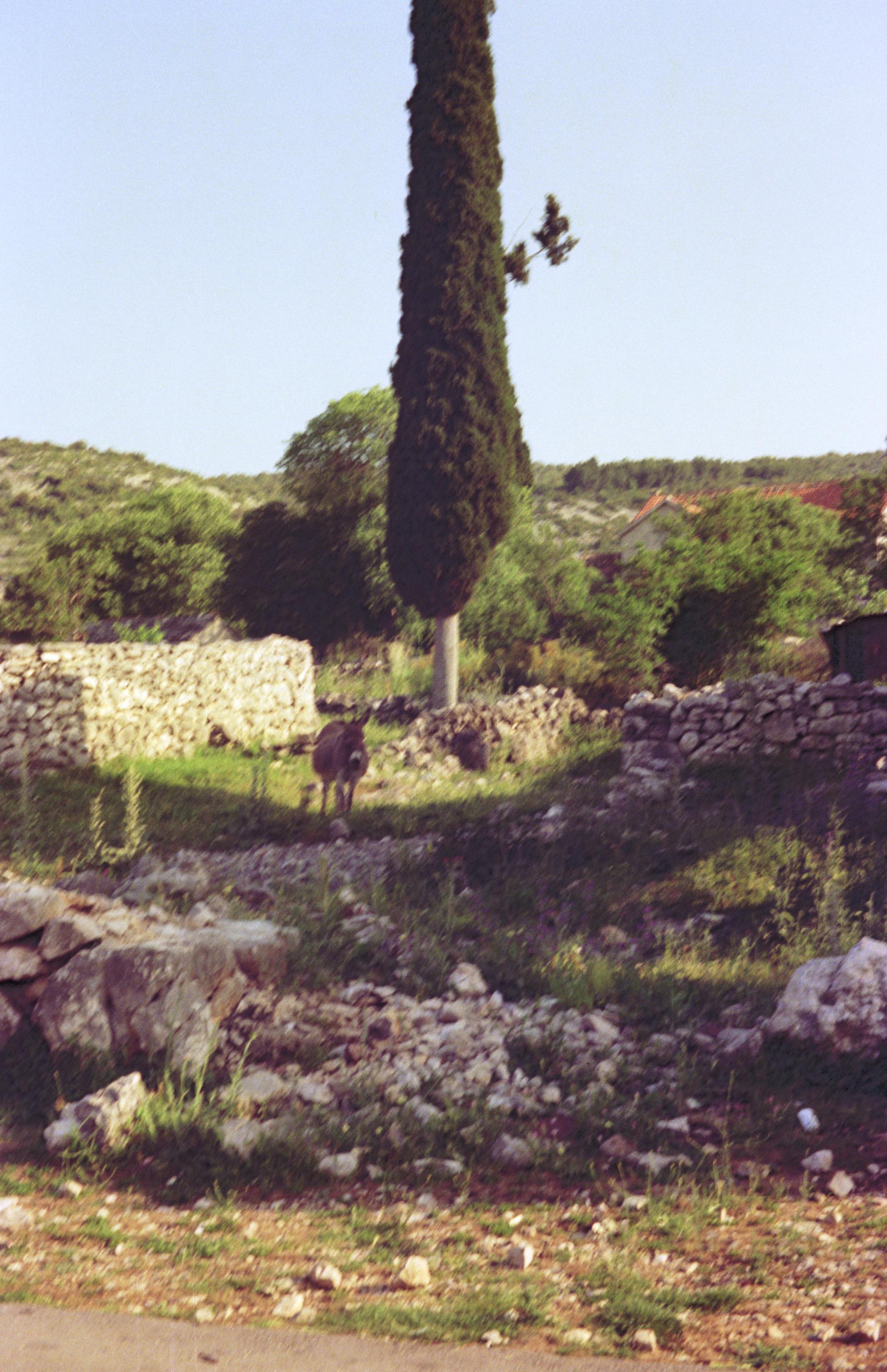 S3_197505-28