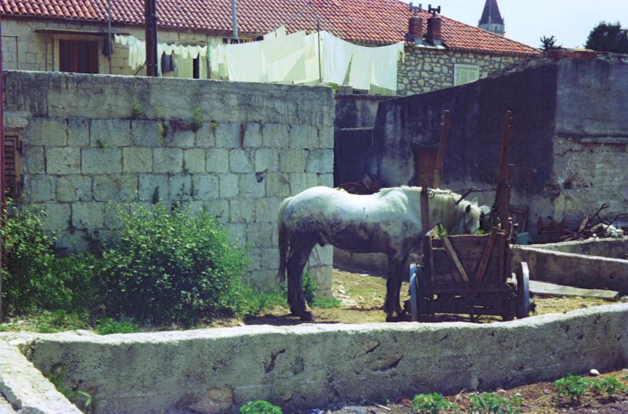 S3_197505-10