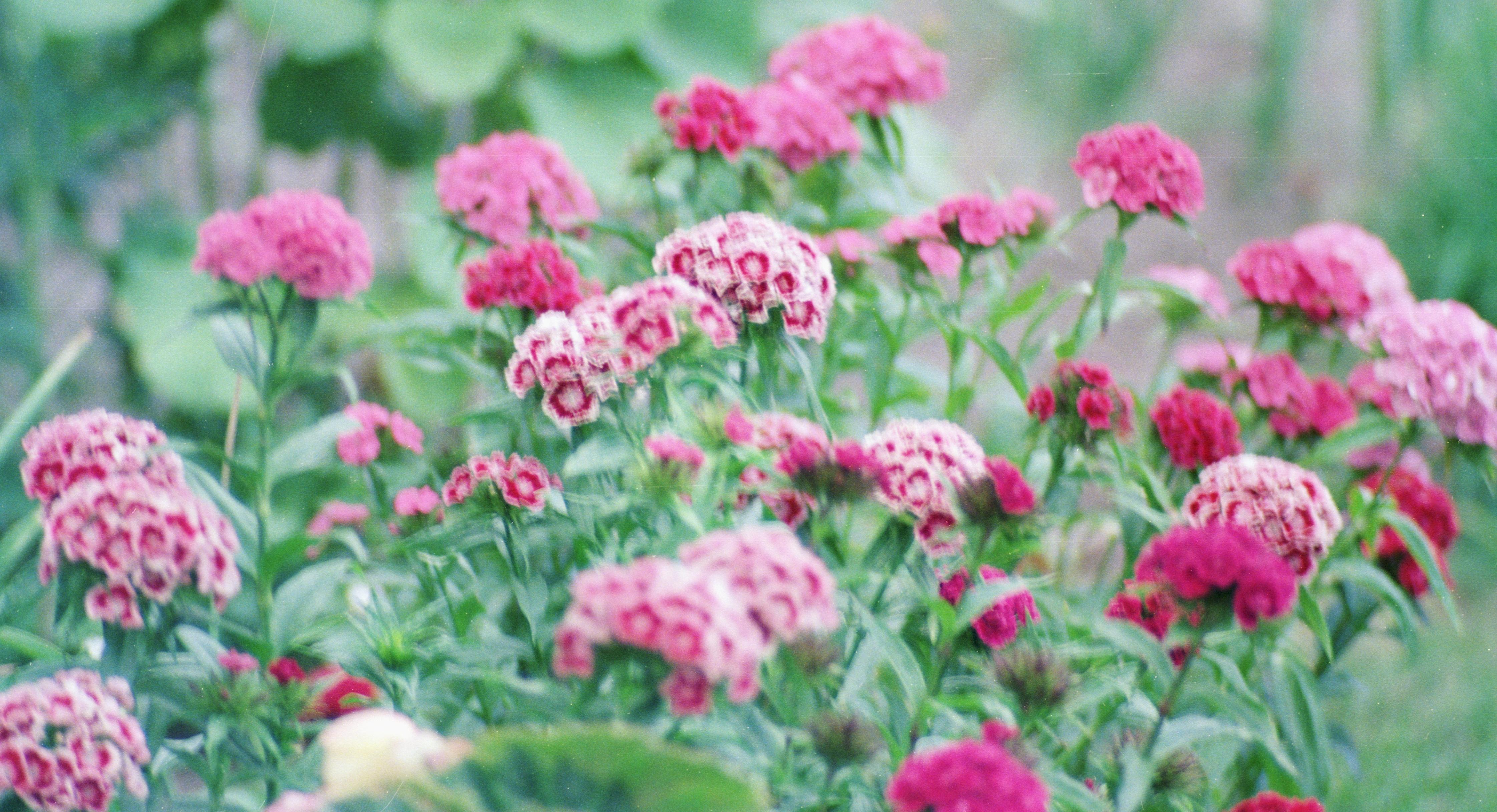 S3_197907-04
