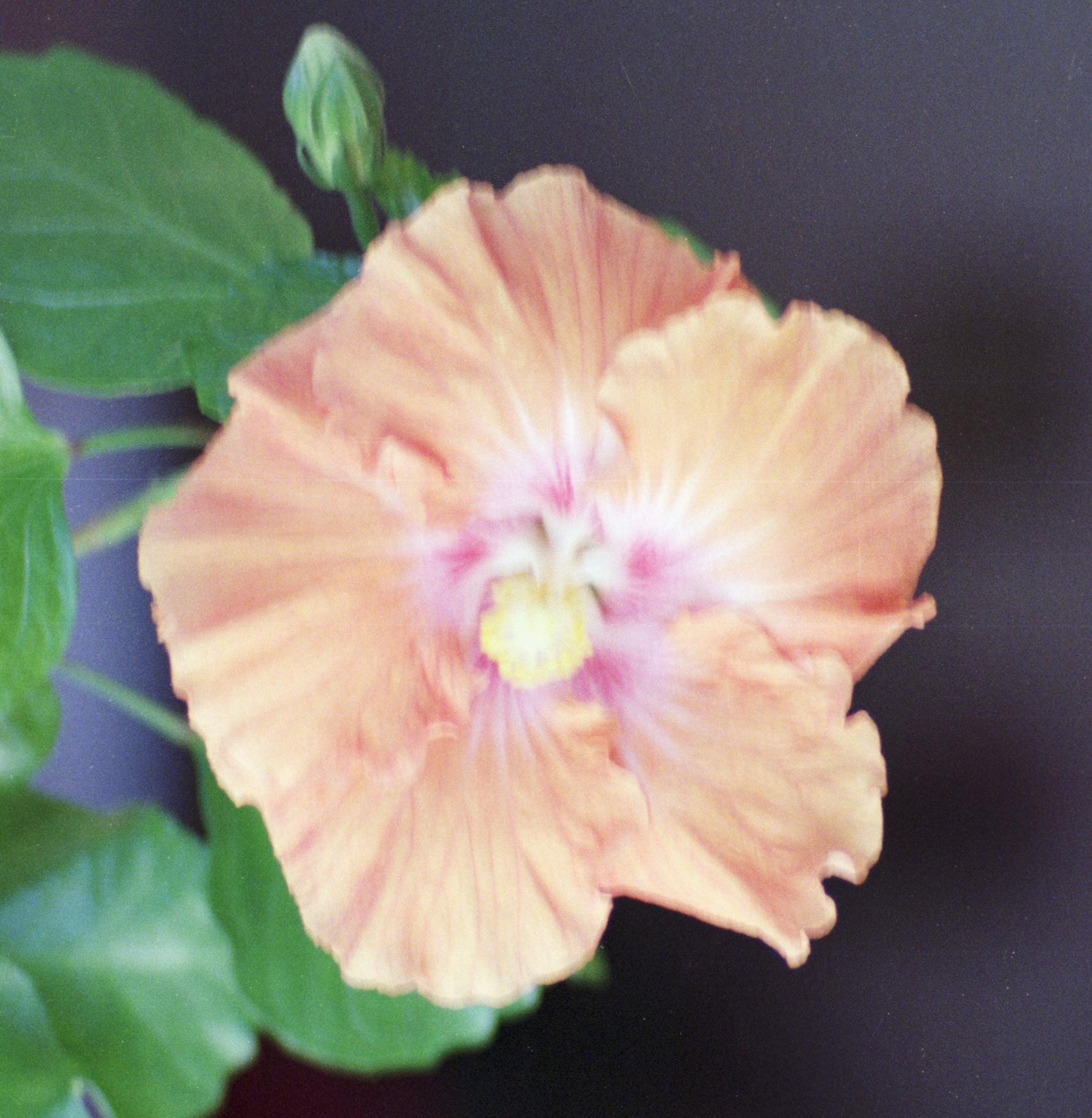 S3_197907-07