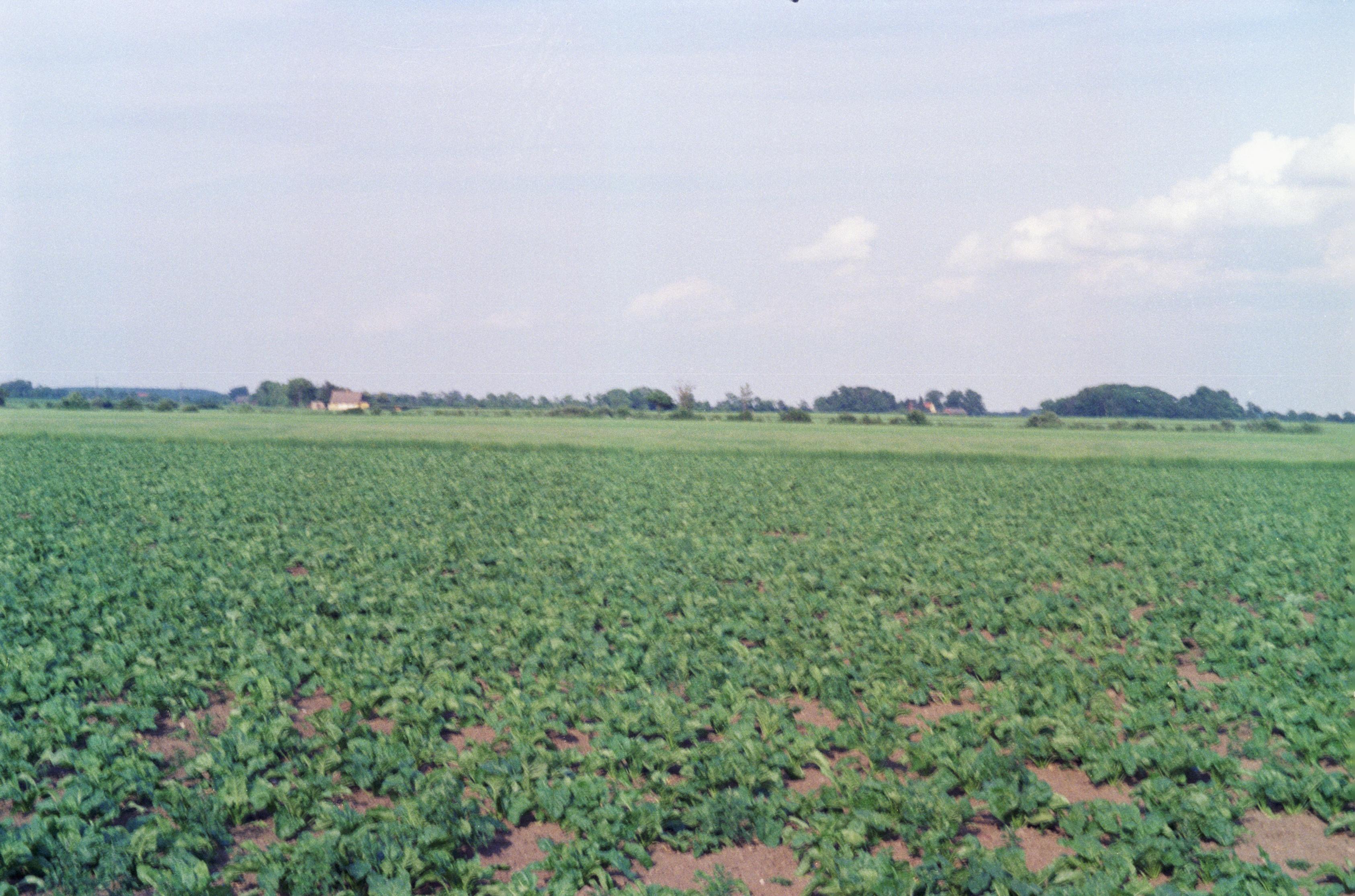 S3_197907-08
