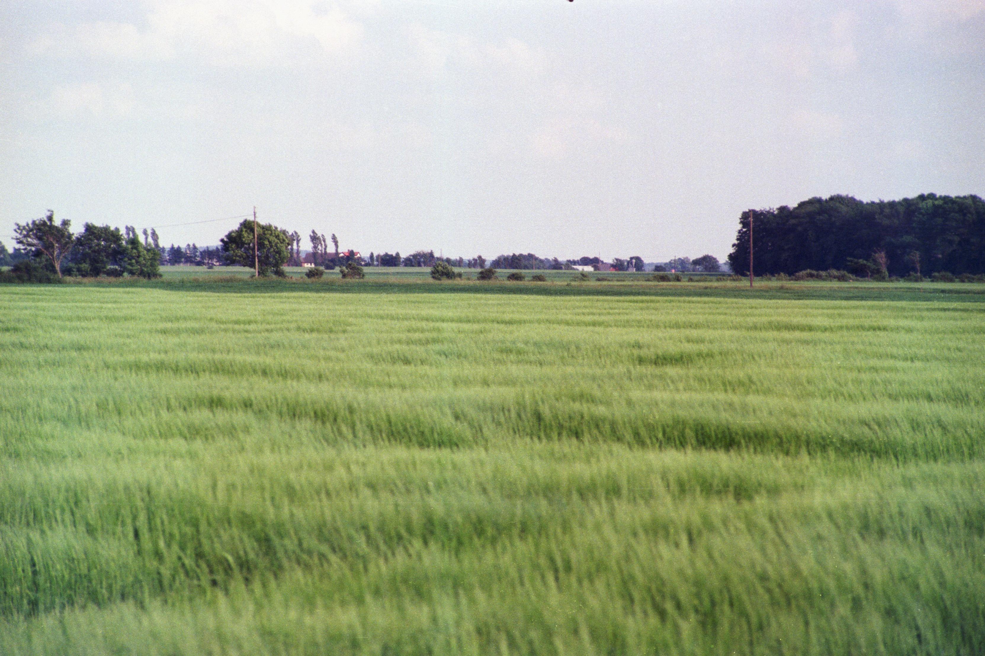S3_197907-10