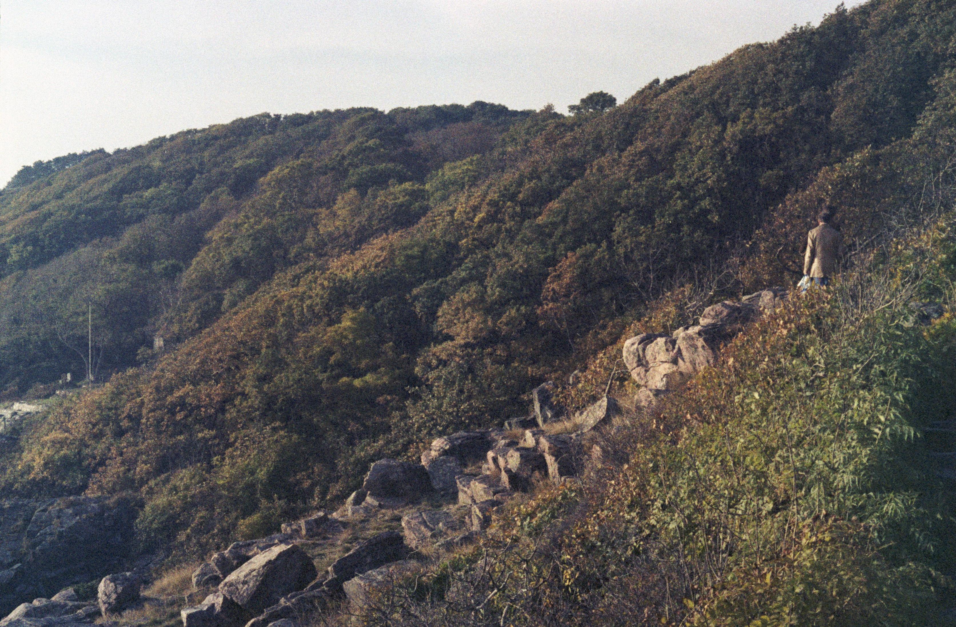 S3_197910-05