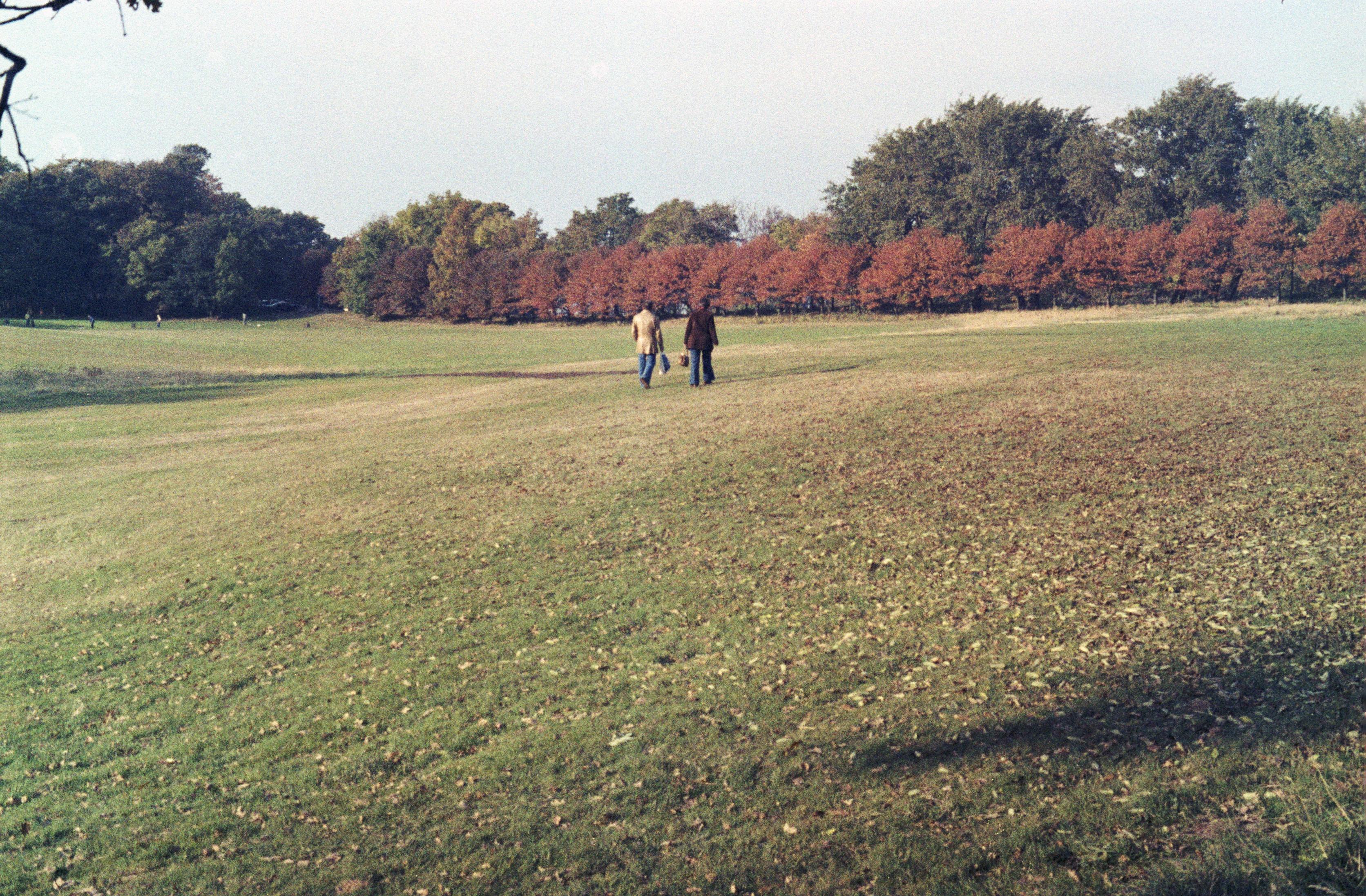 S3_197910-06