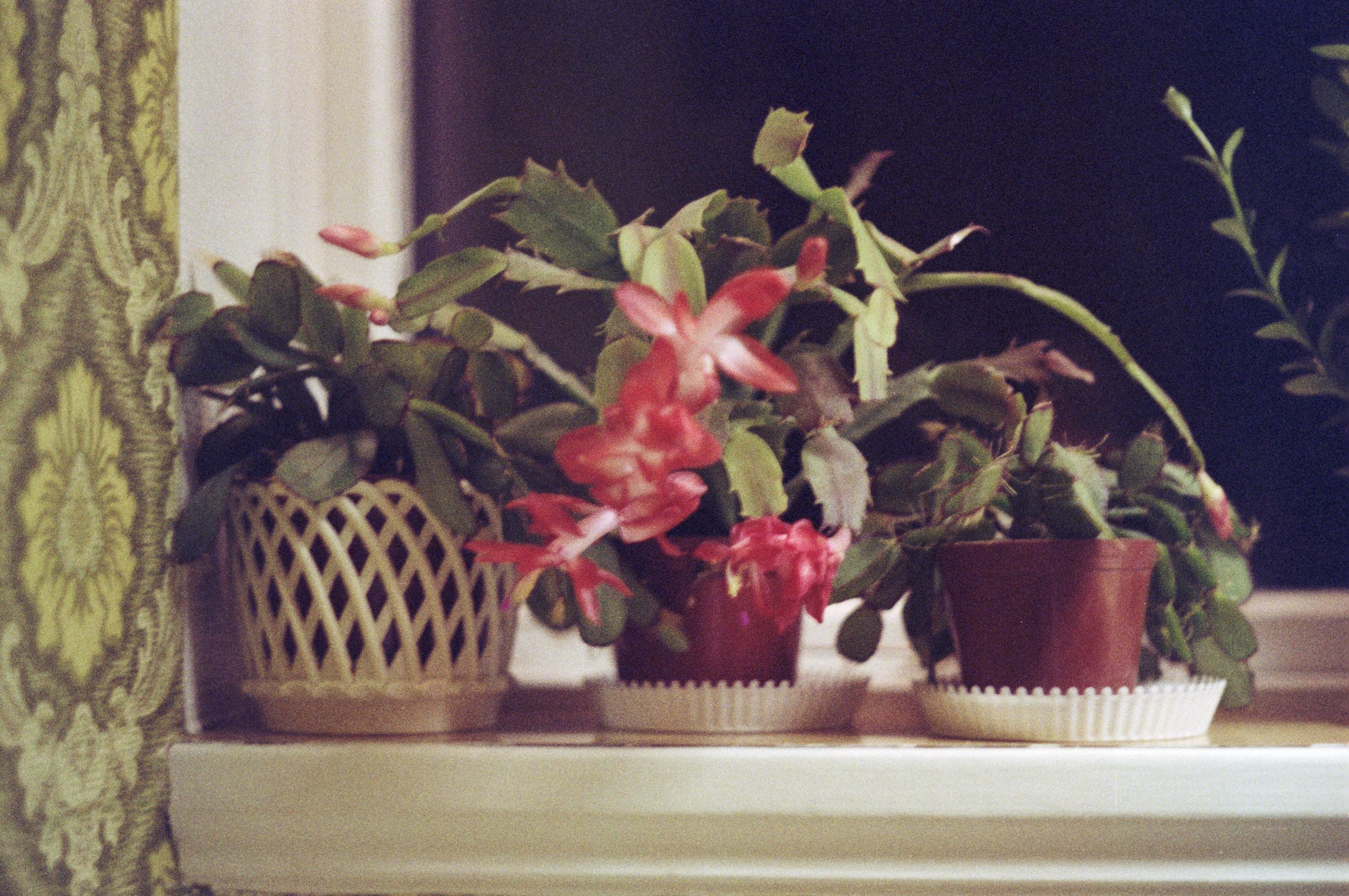 S3_197910-24
