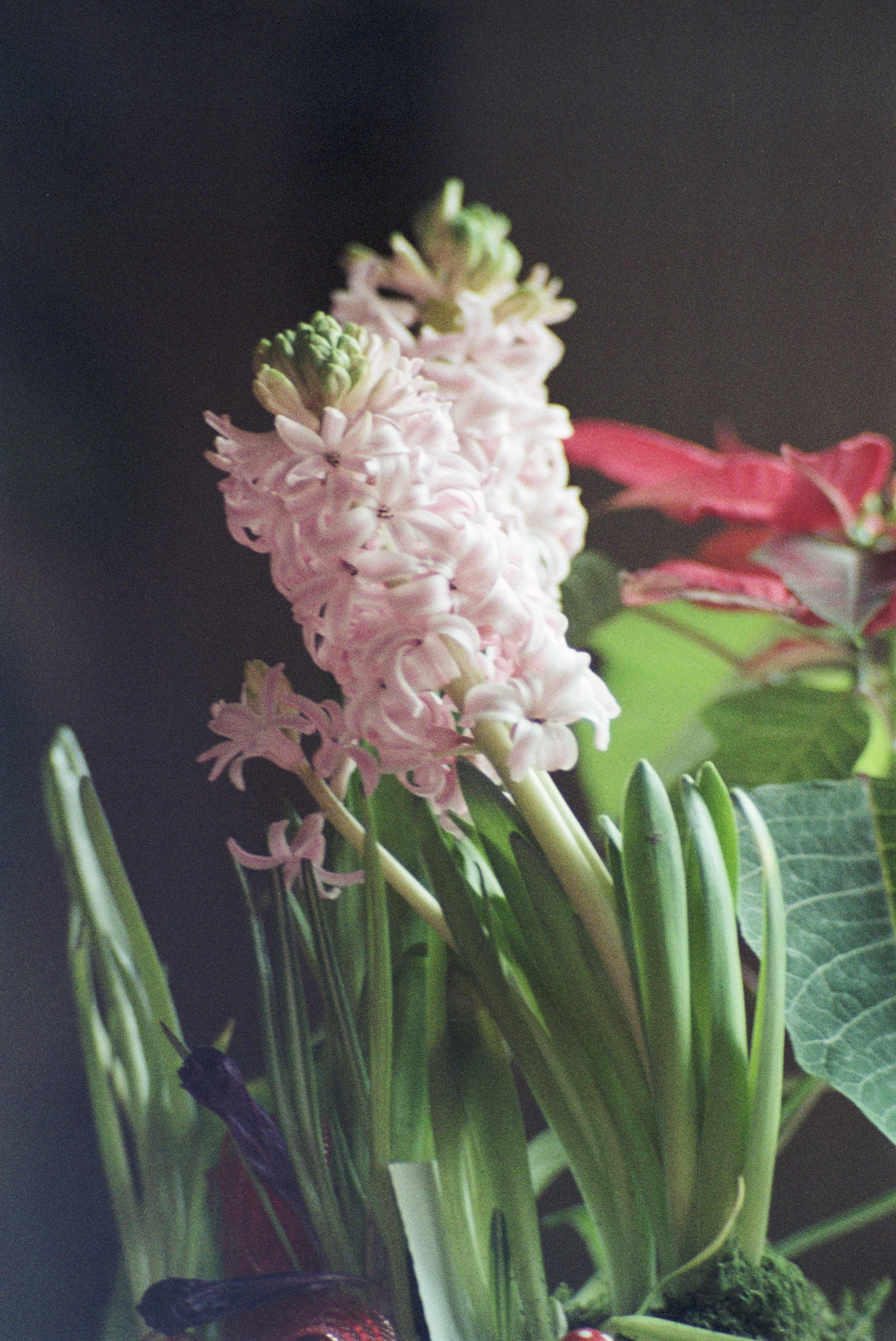 S3_197912-10