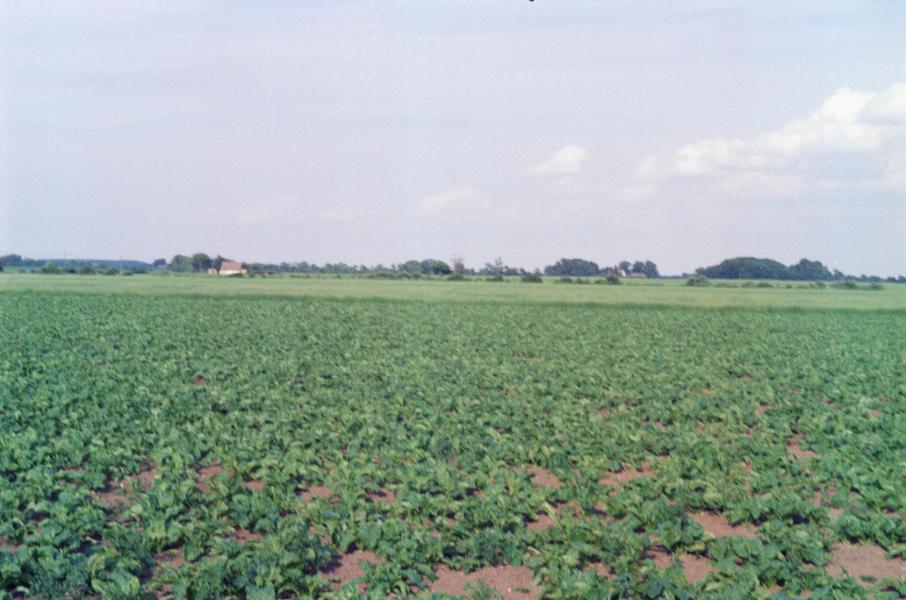 S3_197907-08