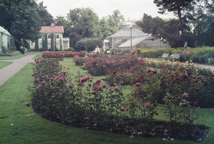 S3_197909-06