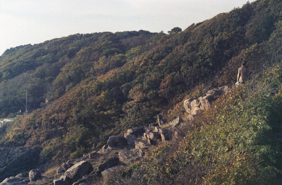 S3_197910-05
