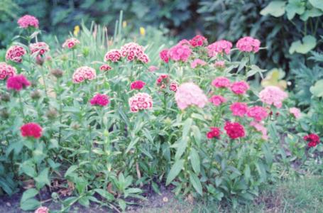 S3_197907-02