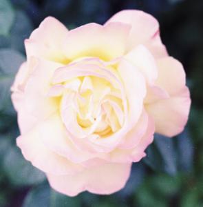 S3_197907-03