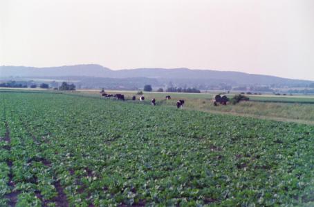 S3_197907-12