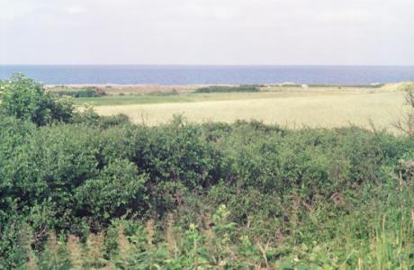 S3_197907-23