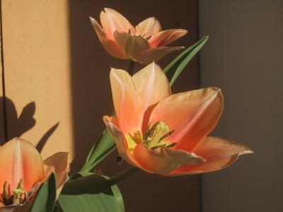 0502