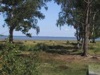 1036.jpg