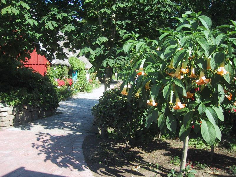 1790