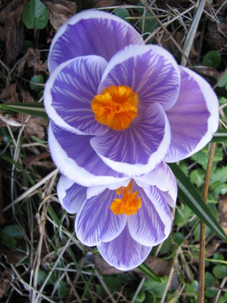 0028