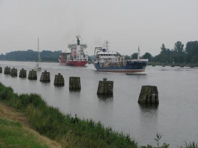 S3_0981