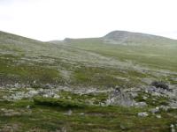 S3_1506.jpg