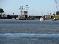 S3_1354.jpg