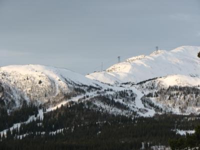 S3_1238