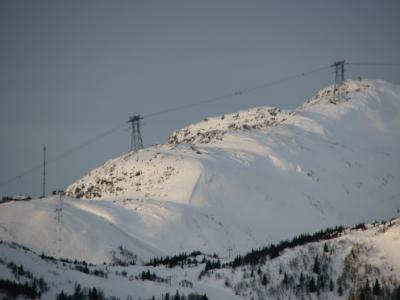 S3_1239