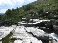 S3_1772.jpg