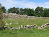 S3_1681.jpg