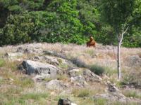 S3_1682.jpg