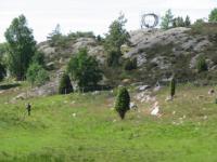 S3_1691.jpg