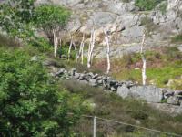 S3_1693.jpg
