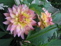 S3_1851.jpg