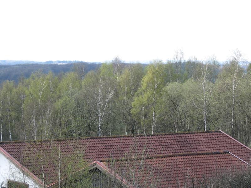 S3_1952