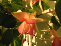 S3_2265.jpg
