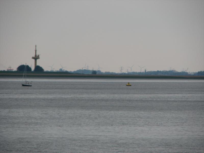 S3_2445