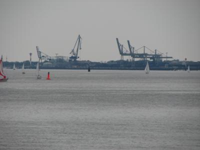 S3_2444