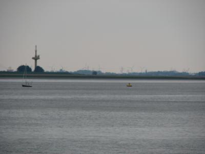 S3_2445