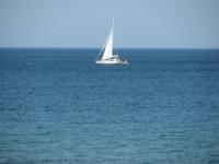 S3_2859.jpg
