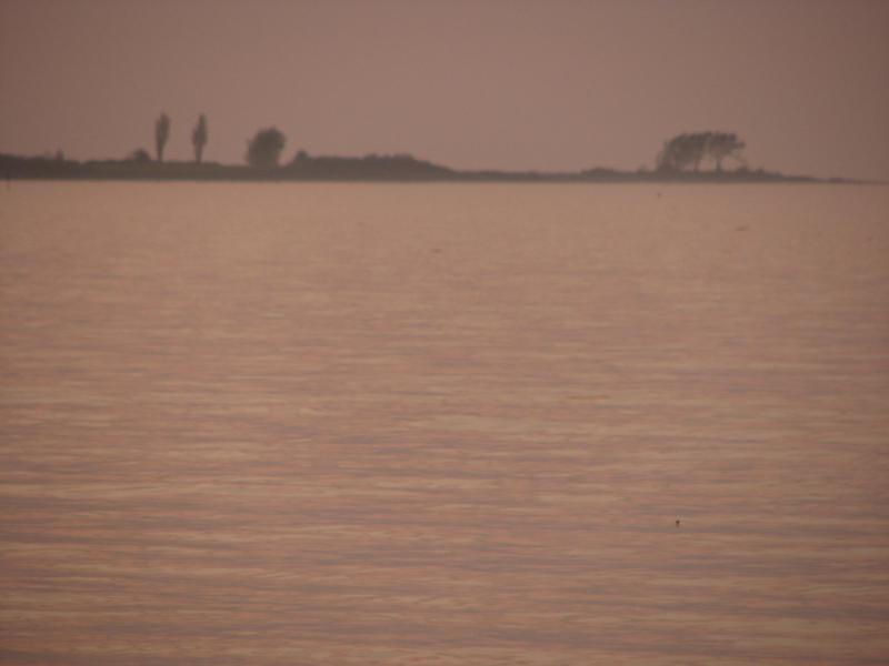 S3_2848