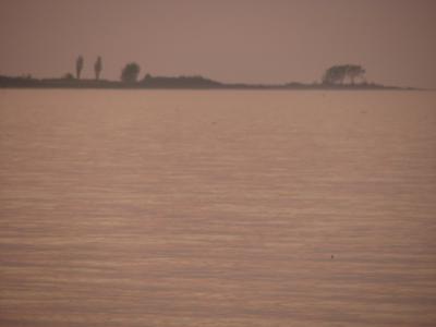 S3_2848