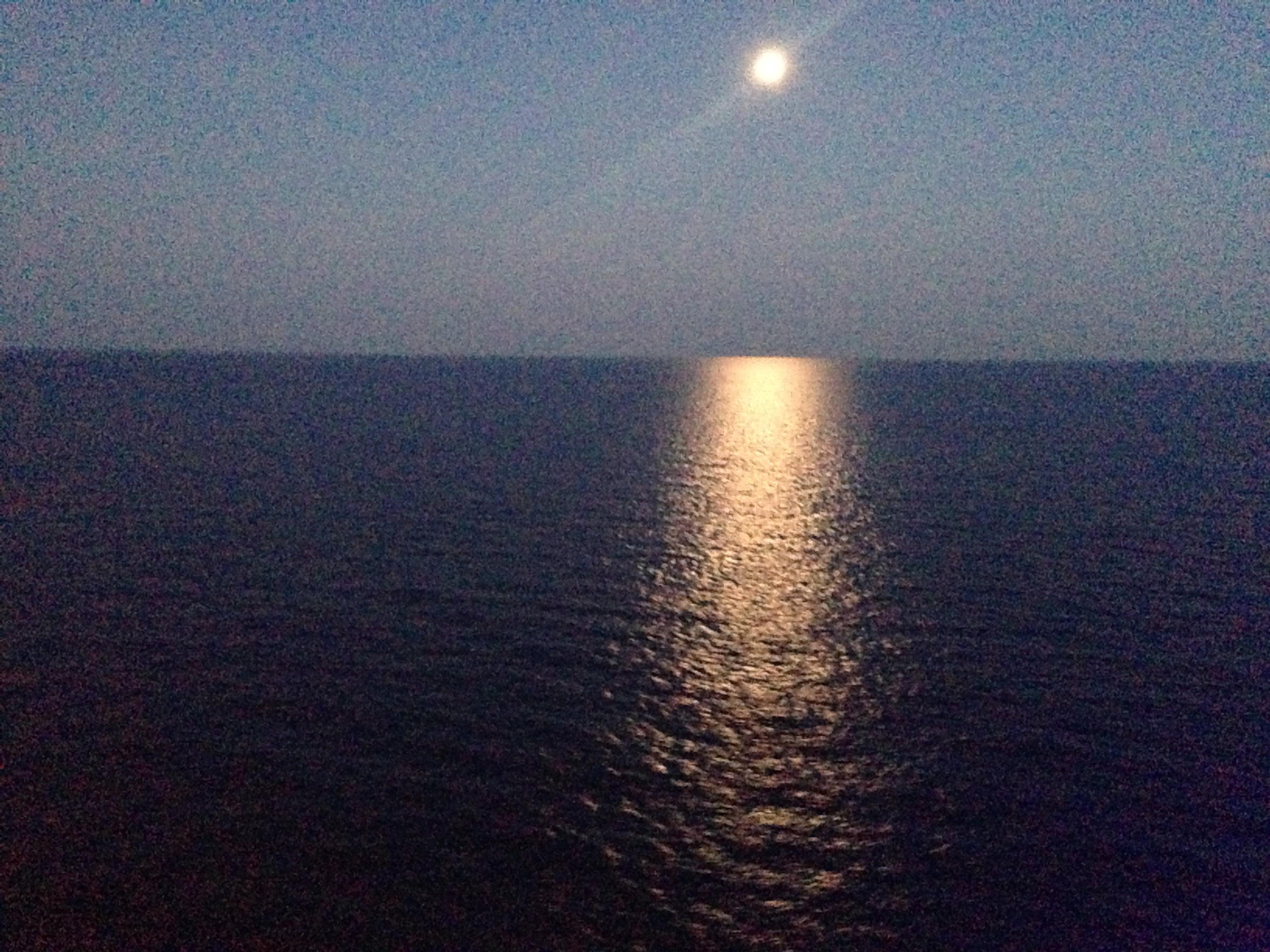 iP5_0554