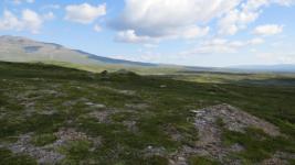 SX_0440.jpg
