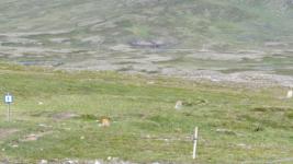 SX_0450.jpg