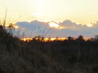 SX_0018.jpg