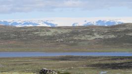 SX50_0896.jpg