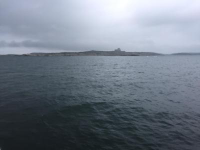 iP6p_0915