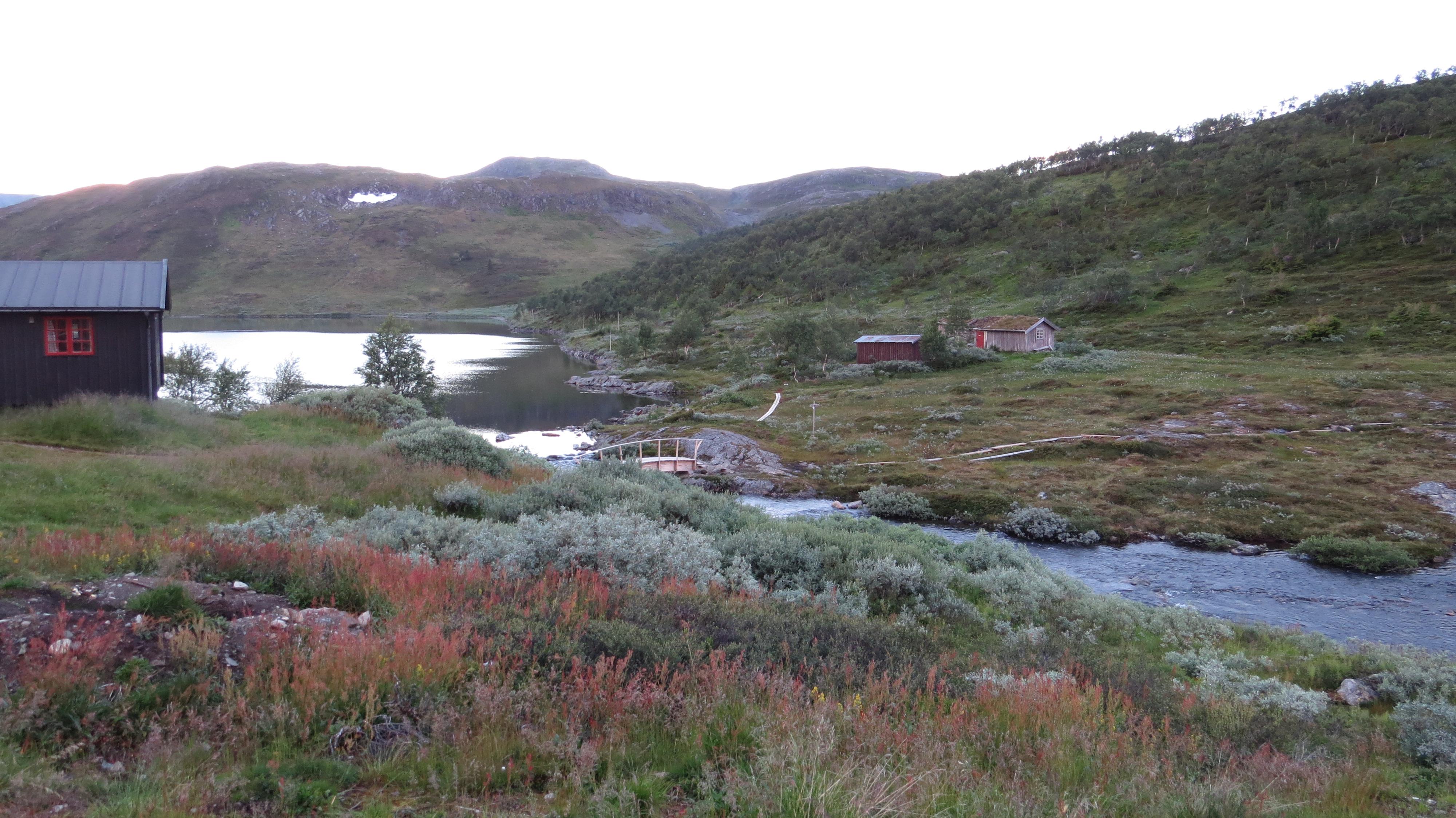 SX50_1079