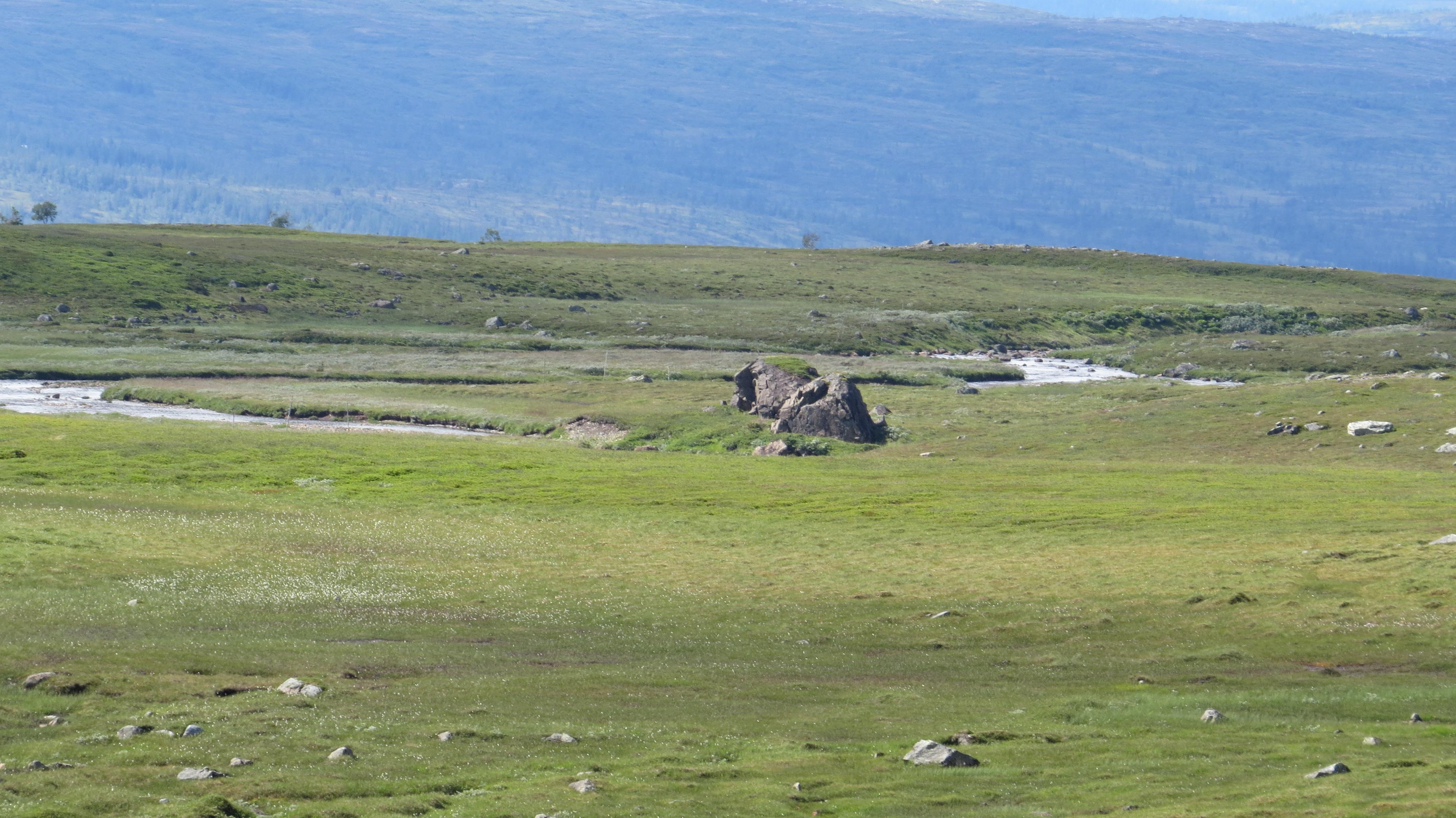 SX50_1092